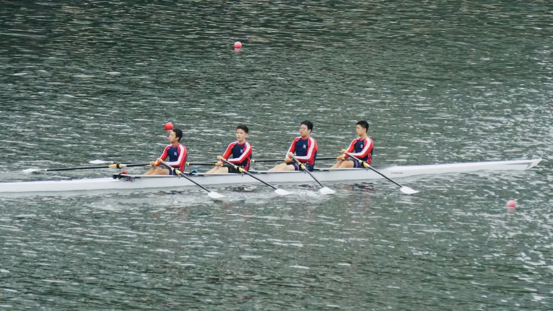 Quad sculls mid-race